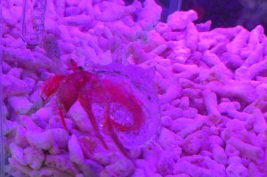 TDW_Robotics Exhibition (43)