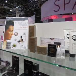 Beauty International 2016 (49)