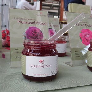 Next Organic 2016 (47)