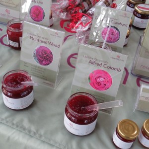 Next Organic 2016 (48)