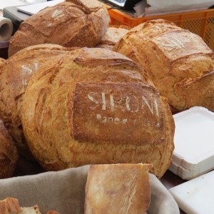 Next Organic 2016 (54)