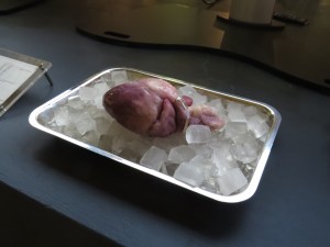 DMY Design Week Berlin 2016 (19)