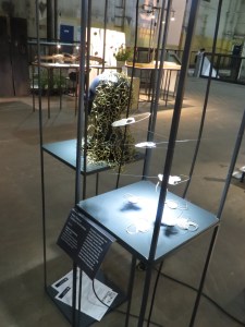 flowers from slovakiua (1)